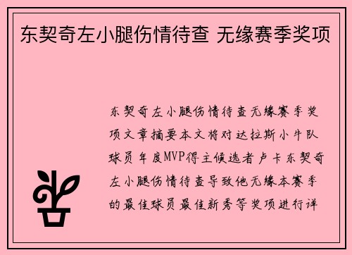 东契奇左小腿伤情待查 无缘赛季奖项